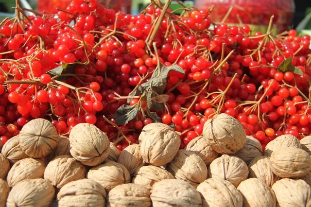 Gilaburunun faydaları bilimsel olarak kanıtlandı