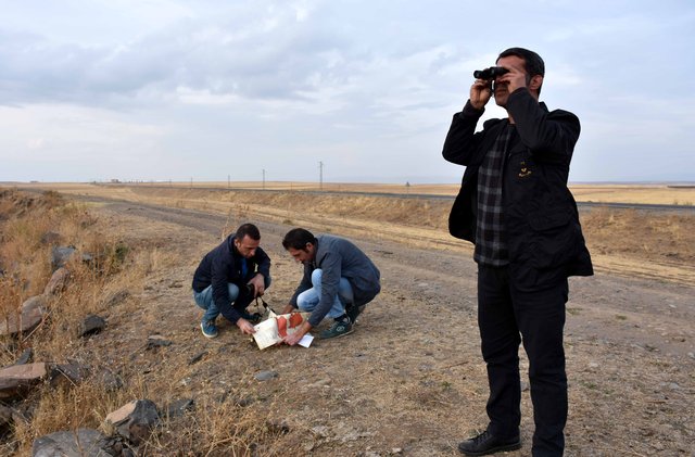 Kuşların göç güzergahı: Muş Ovası