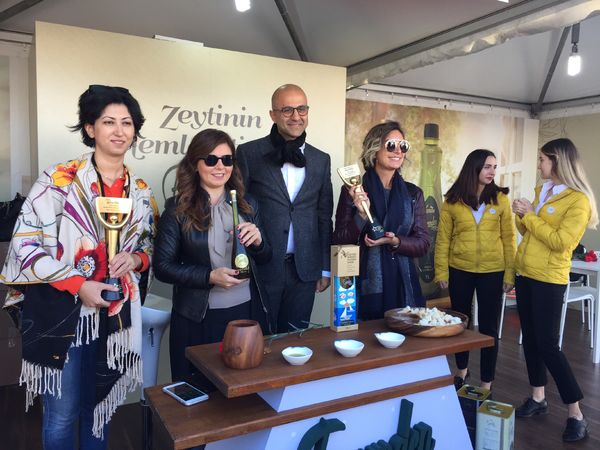Ayvalık'ta zeytin hasadı coşkusu
