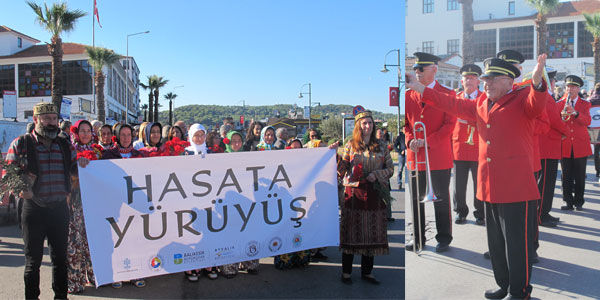 Ayvalık'ta zeytin hasadı coşkusu