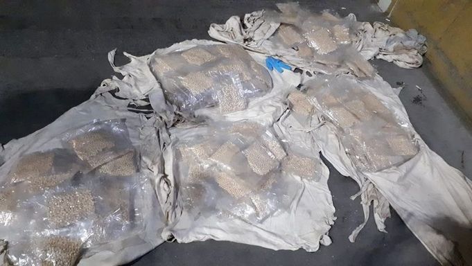 Koyun postundan 521 kilo uyuşturucu hap çıktı!