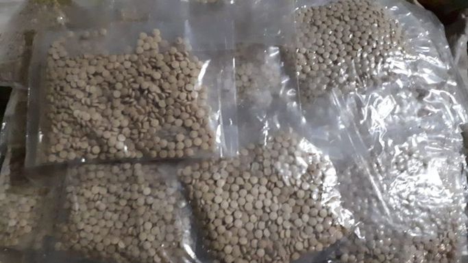 Koyun postundan 521 kilo uyuşturucu hap çıktı!