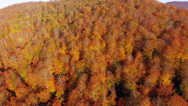 Nebiyan Dağı'nda sonbahar
