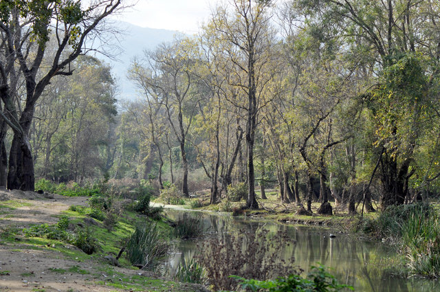 Karacabey Longozu'na "Recep İvedik" turizmi