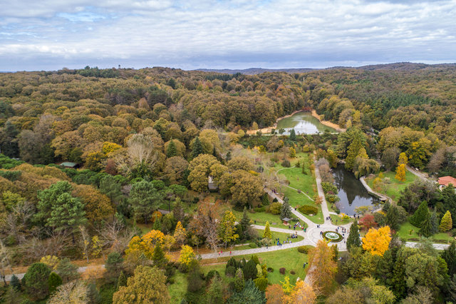 Canlı ağaç müzesi Atatürk Arboretumu'unda sonbahar