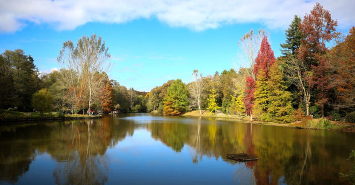 Atatürk Arboretumu'unda sonbahar