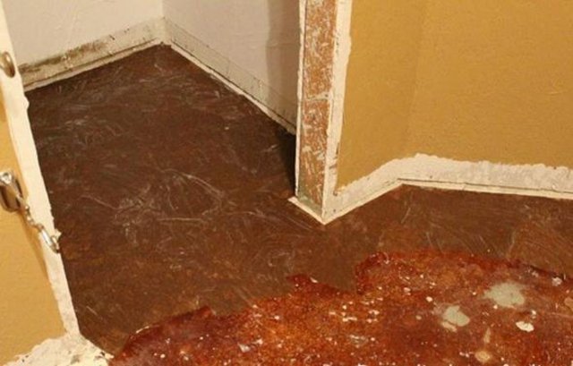 Zemini parke ile kaplamak yerine bakın ne yaptı