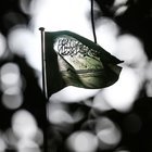 KRAL SELMAN SUSTU, FRANSA VE ALMANYA HAMLE YAPTI!