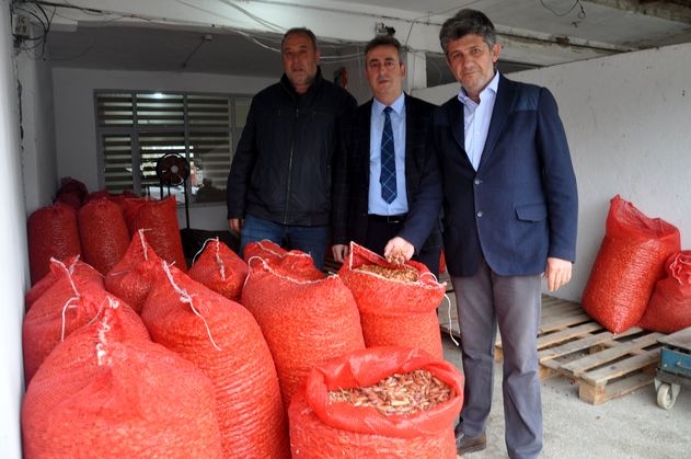 Geçen yıl çöpe giden arpacık soğanı bu sene 7 liradan satılıyor