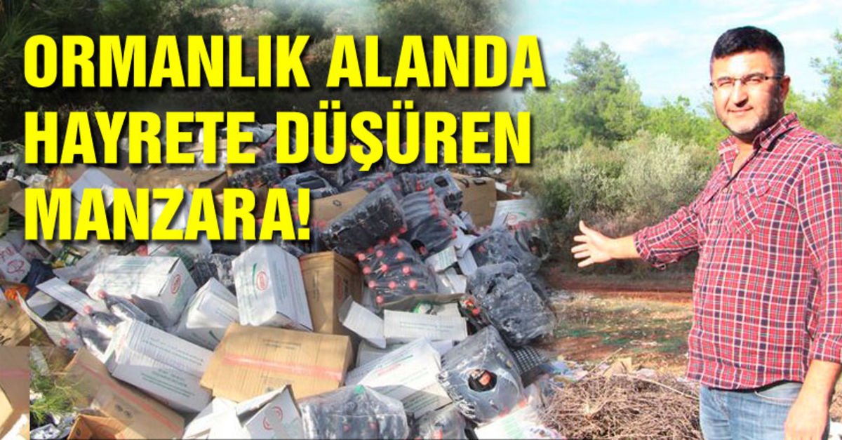 Ormanlık alanda hayrete düşüren manzara!