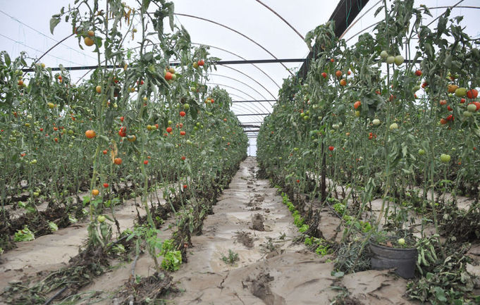 Şiddetli fırtına ve sağanak yağış yurt genelinde hayatı zorlaştırdı!