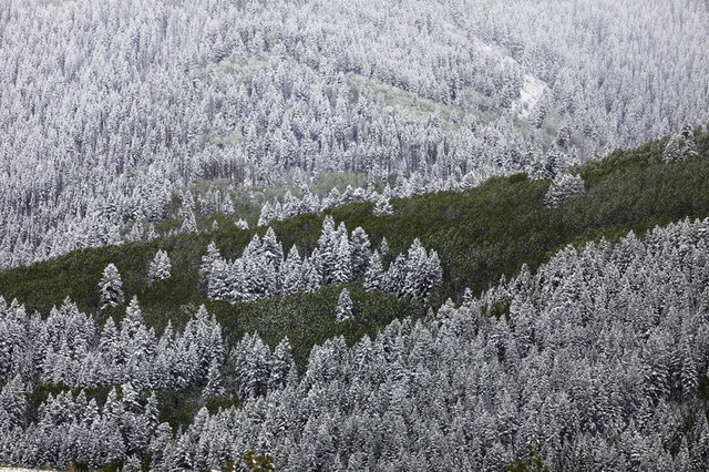 VAIL, COLORADO - ABD