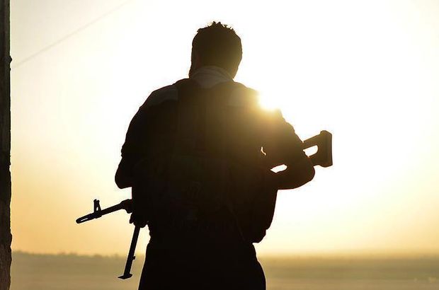 ABD tehdit etti: Filler tepişirken oradan uzak durun!