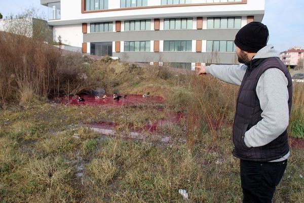 Yalova’da kırmızı su paniği
