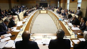 PIRPIRLI DAĞ ÖRNEKLİ FİYONKLU İĞNE OYASI PIRPIRLI DAĞ ÖRNEKLİ FİYONKLU İĞNE OYASI