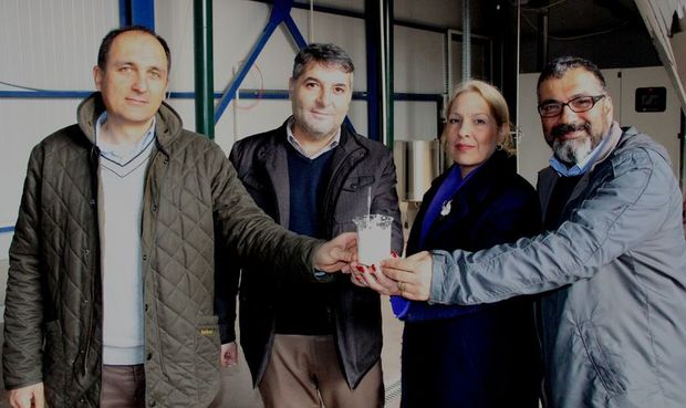 Türkiye'nin ilk 'yerli ağız sütü tozu' üretildi. Buzağı ölümleri duracak