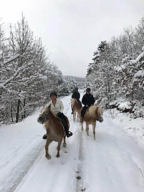 Uludağ'ın karlı eteklerinde atla gezinti turizmi
