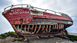 Japon sanatçı fenomen hayvanları heykel yaptı Japon sanatçı fenomen hayvanları heykel yaptı