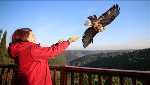 Erkeklerin asla büyümediğini kanıtlayan kareler 38