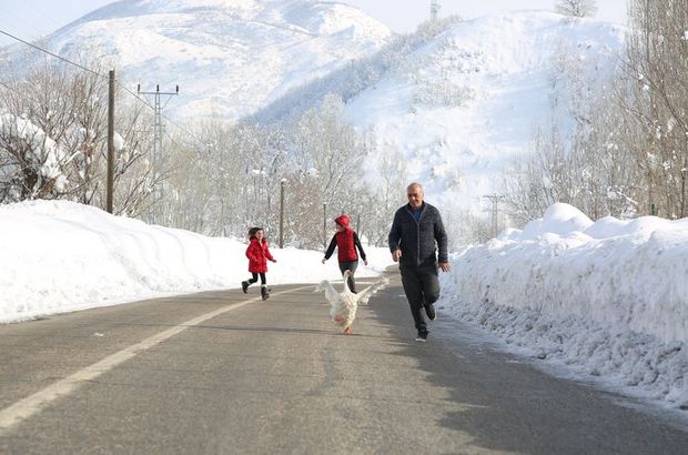 Mahmut Utan, sabah kazla koşuya çıkıyor, akşam tilki ailesini besliyor