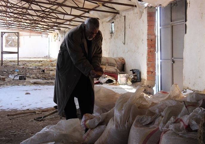 'Ukrayna'dan canlı hayvan getireceğim' diye on binlerce dolar para topladı