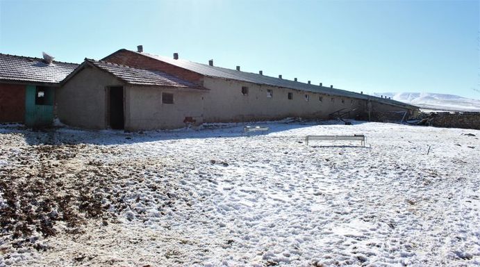 'Ukrayna'dan canlı hayvan getireceğim' diye on binlerce dolar para topladı