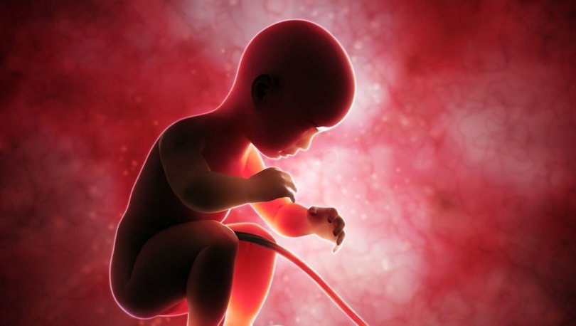 seker rahimdeki bebek olumlerinin en onemli nedenlerinden saglik haberleri