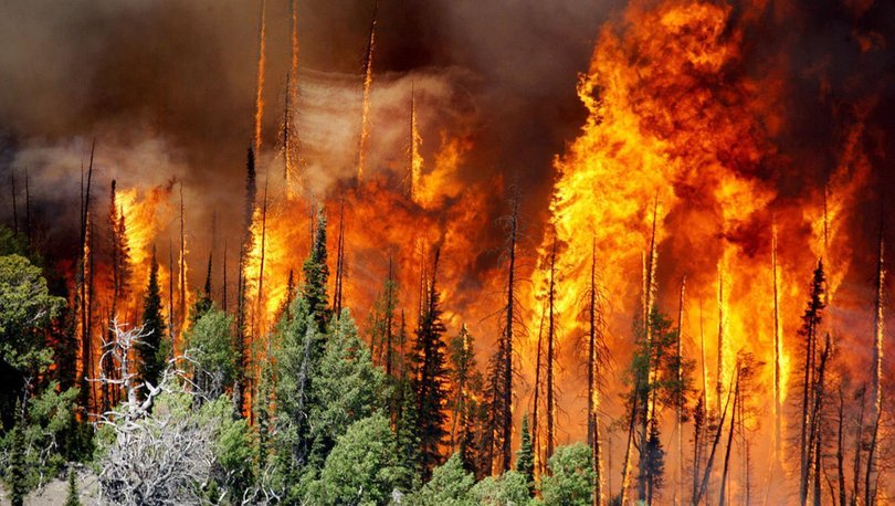 Hadi ipucu sorusu 28 Ocak: Orman Yangın İhbar acil numarası nedir? Hadi  ipucu 20.30 cevabı