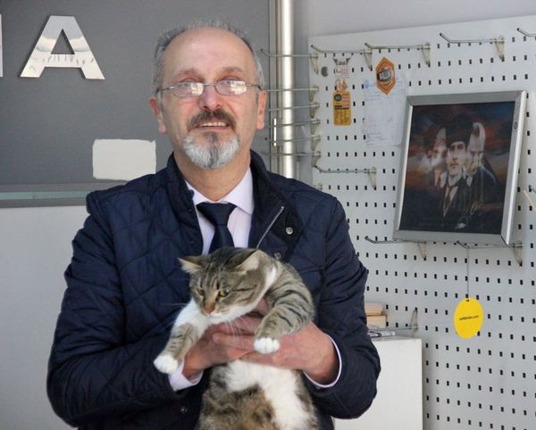 Kedi tırmığı 'taksirle adam yaralamak' suçu sayıldı