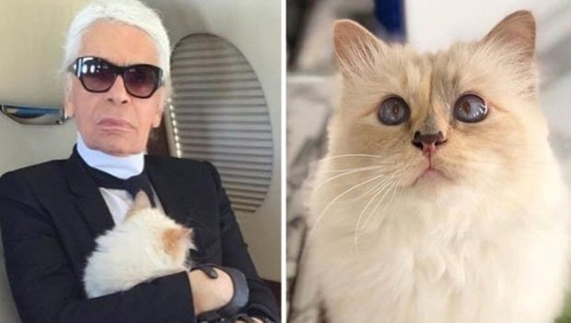 Yok böyle miras! Lagerfeld'in 200 milyon doları kedisine kalabilir