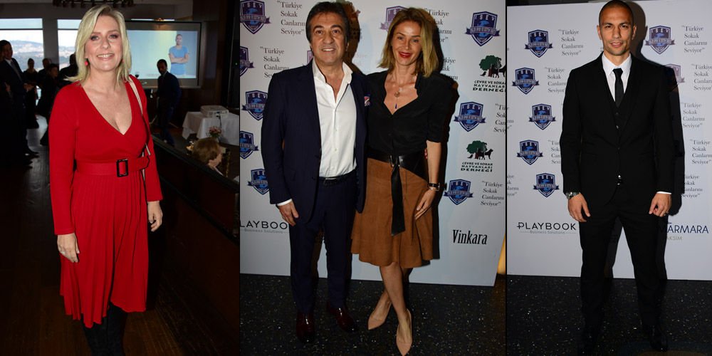 Sokak hayvanları için el ele...