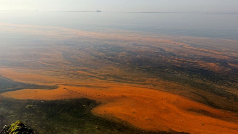 Hava sıcaklıklarının artmasıyla İzmir'de deniz kıyısında kahverengi planktonlar oluştu