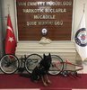 Van Erciş Karayolu’nda durdurulan bir TIR’da 6 adet bisikletin iskelet bölümüne gizlenmiş 4 kilo 680 gram eroin ele geçirildi. Operasyonda, TIR şoförü O.T. gözaltına alındı.