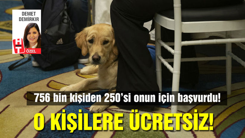 Türkiye'de 250 görme engelli, rehber köpek bekliyor! | haberturk.com