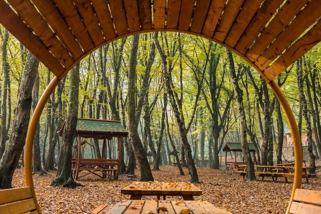 Pazar gübü kamp yapmak isteyenler... İşte İstanbul'daki birbirinden güzel kamp ve mesire alanları
