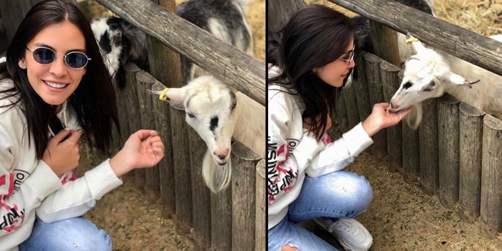 Hayvansever Neslişah...