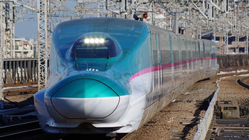 Japonya'da tren kaosunun nedeni bulundu: Sümüklüböcek