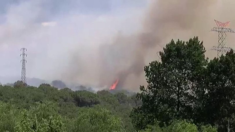 Sarıyer'de orman yangını