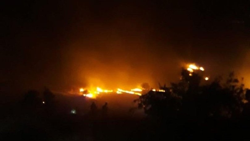 Elazığ’da orman yangını ekili araziye sıçradı