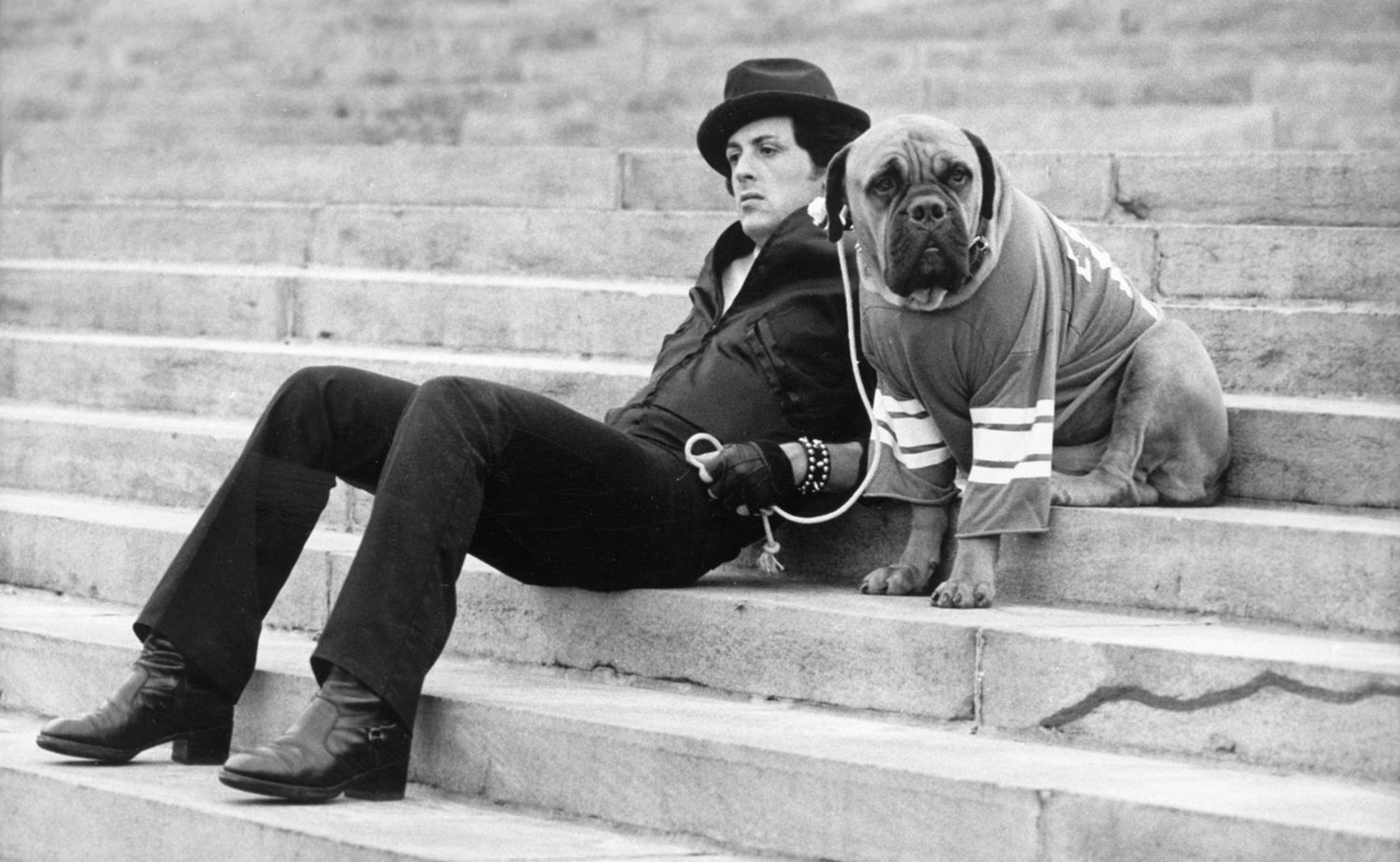  Sylvester Stallone, 'Rocky'den kazandığı 35 bin $'ın 15 bin $'yla sattığı kişiden köpeği 'Butkus'u geri aldı. 