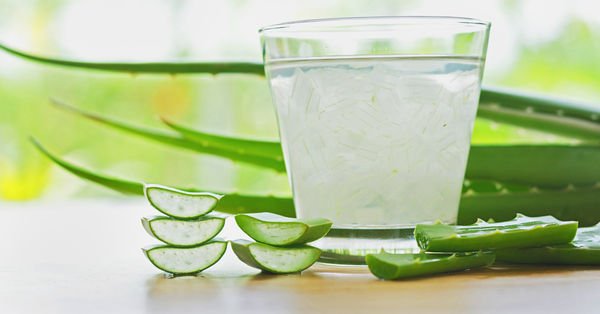 aloe vera yaniga iyi gelir mi saglik haberleri