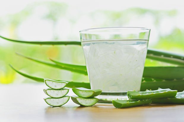 Aloe Vera Yaniga Iyi Gelir Mi Saglik Haberleri