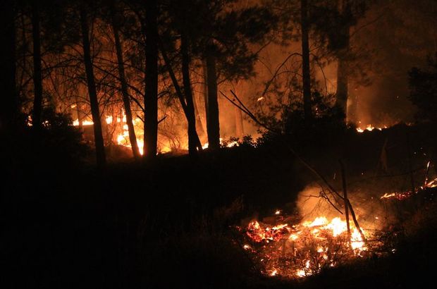 Dalaman ve Göcek'te korkutan yangın kontrol altında!