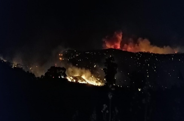Muğla-Dalaman'da yangın: Alevler Göcek'e yaklaştı, iki mahalle boşaltıldı
