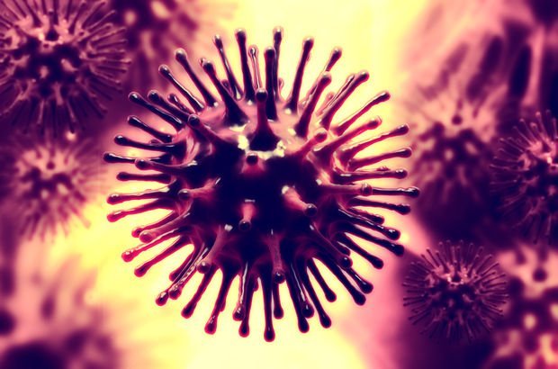 Türk bilim insanları 4 ölümcül virüs buldu!