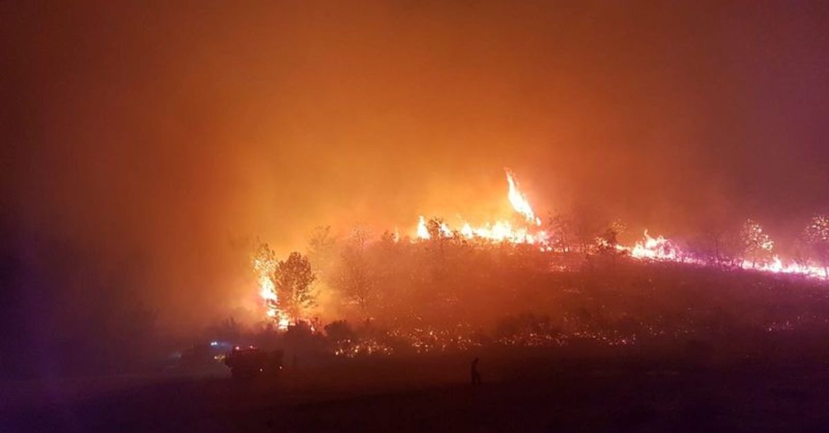 Son Dakika Antalya Manavgat Ta Orman Yangini Kontrol Altina Alindi Haberler Son Dakika Haberleri