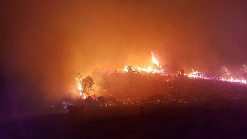 Son Dakika Antalya Manavgat Ta Orman Yangini Kontrol Altina Alindi Haberler Son Dakika Haberleri