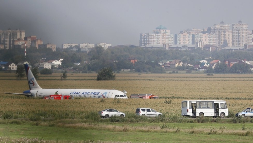 Moskova'dan kalkışta martı sürüsüne çarpan uçaktan 'mucize iniş'