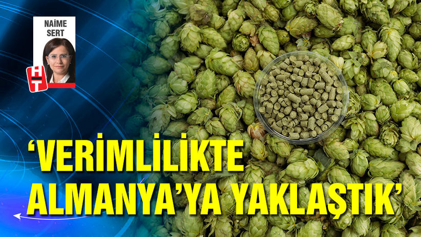 Verimlilikte Almanyaya yaklaştık