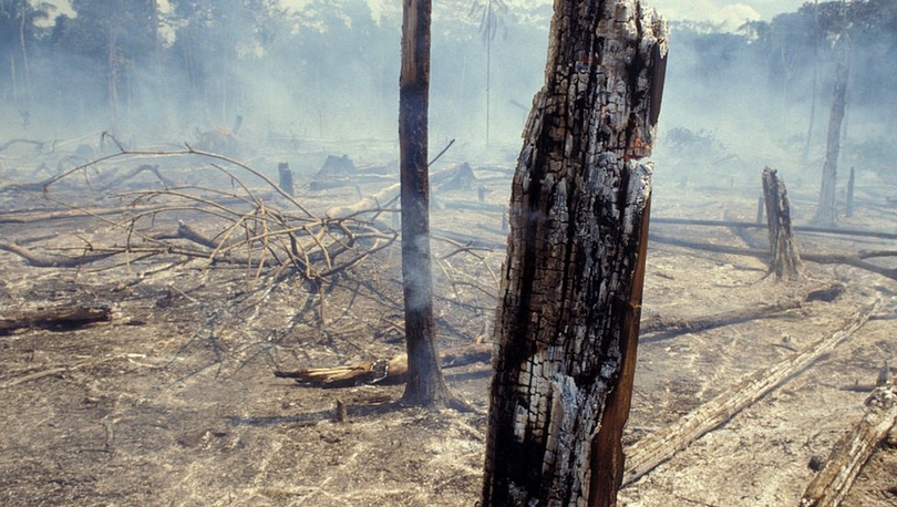 Amazon yağmur ormanları yanıyor: Her bir dakikada bir futbol sahası büyüklüğünde ormanlık alan kayboluyor